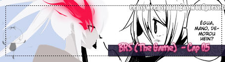 plac_BRS_the_game05